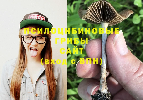 spice Инсар