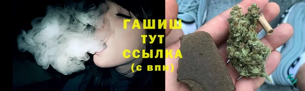 spice Инсар