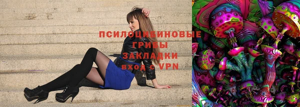 ALPHA PVP Иннополис